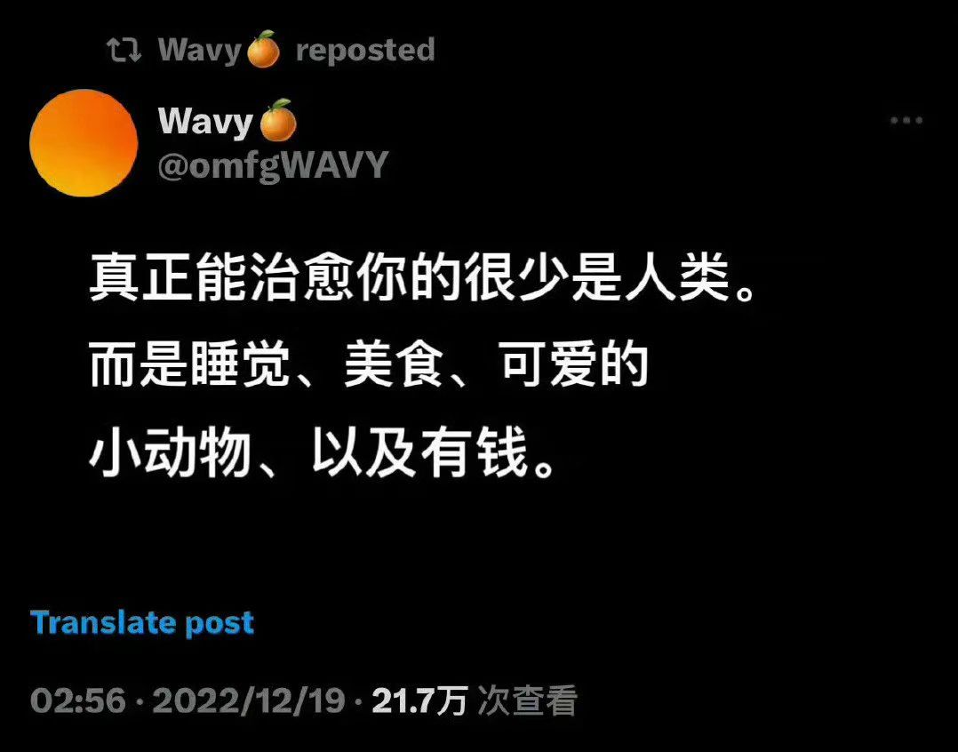 能带给你好心情的东西